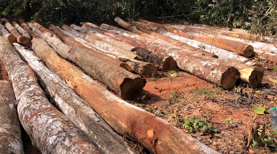 Após flagrante de crime ambiental polícia prende três homens no interior de MT 1