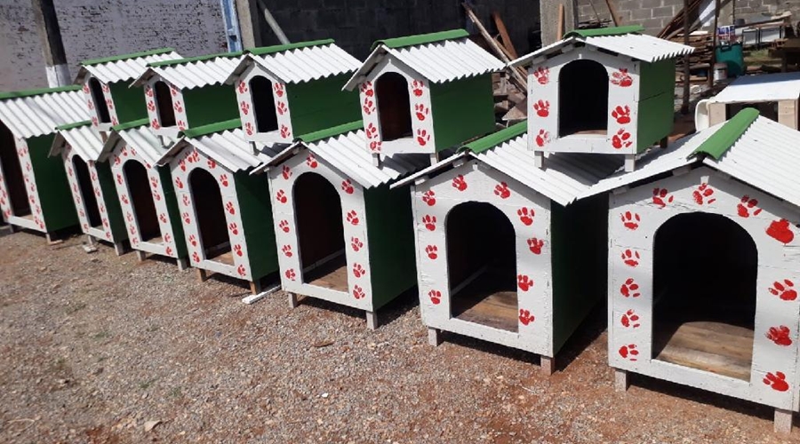 Visando uma ação social reeducandos fabricam casas de pets para doar às instituições e famílias carentes 1