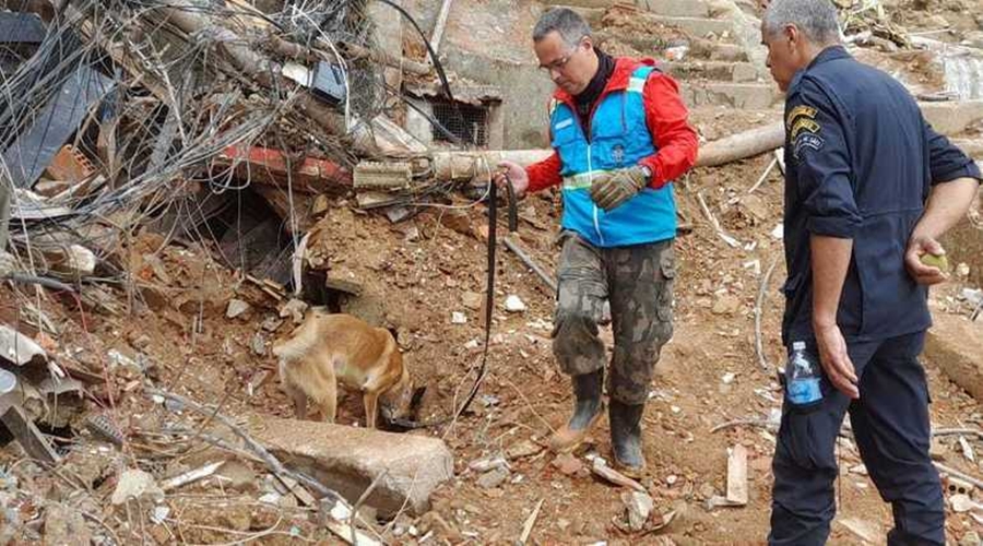 Pessoas mortas na tragédia em Petrópolis já passam de 150 1