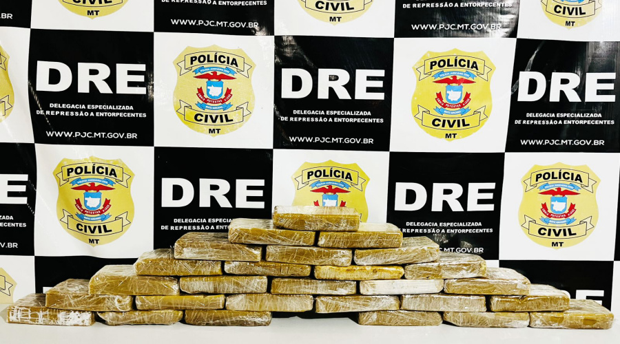 PC apreende droga avaliada em meio milhão de reais em veículo apreendido em pátio de delegacia 1