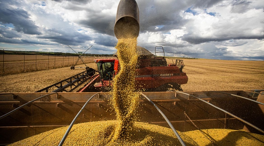 Vendas da indústria de máquinas e equipamentos caem 4,4% em agosto 1