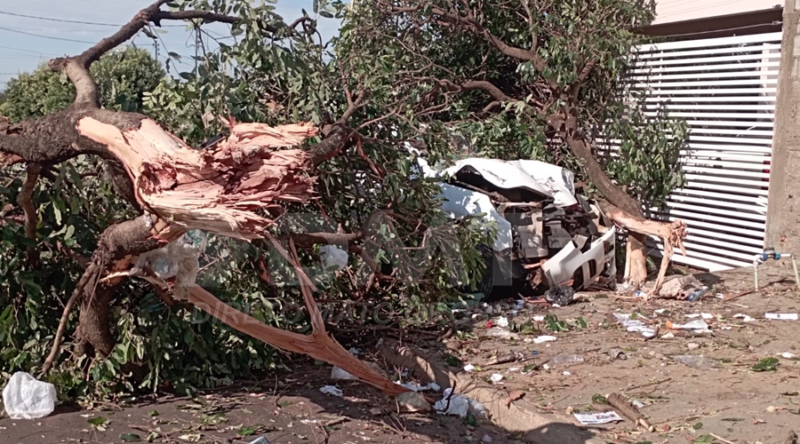 Duas pessoas ficam feridas após S10 colidir violentamente em árvore na cidade de Rondonópolis 1