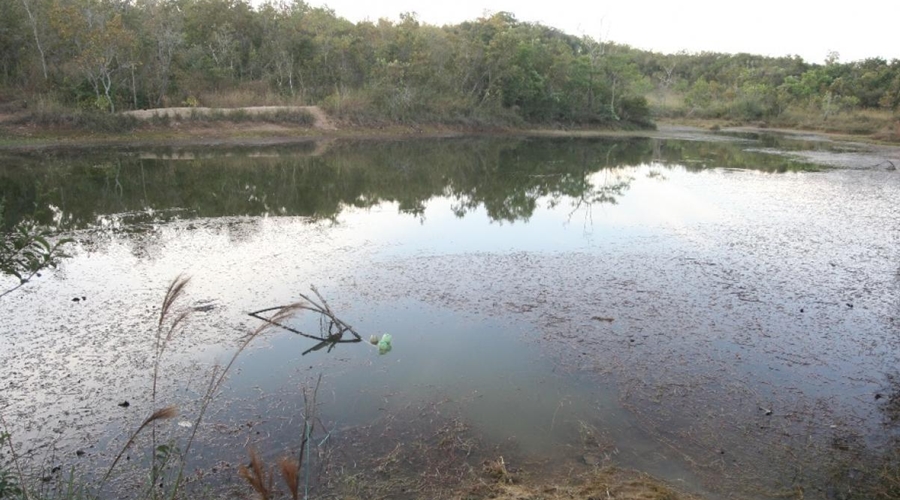 Criança de 4 anos morre afogada ao cair em lago em uma zona rural em MT 1