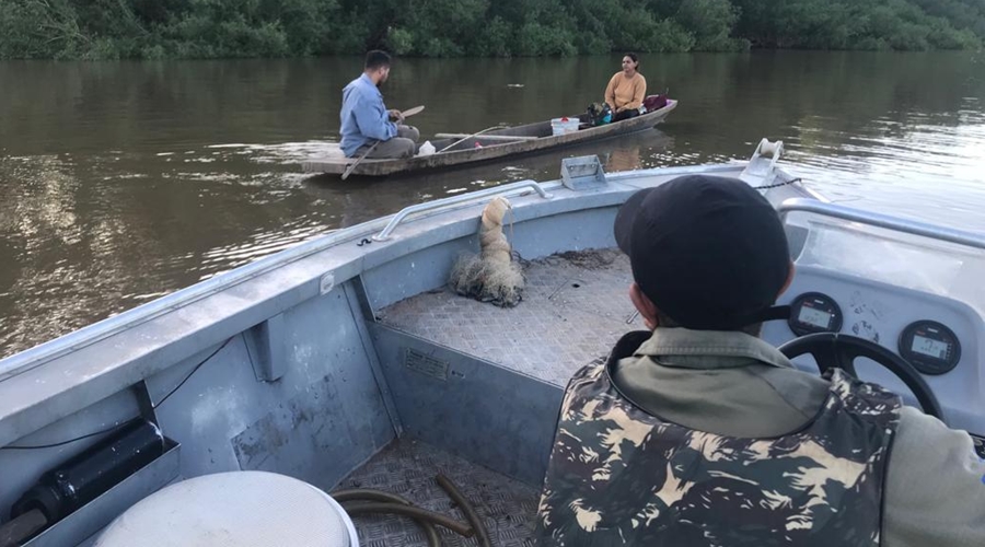 Cerca de 500 peixes apreendidos em fiscalização ambiental são devolvidos ao Rio Cuiabá 1