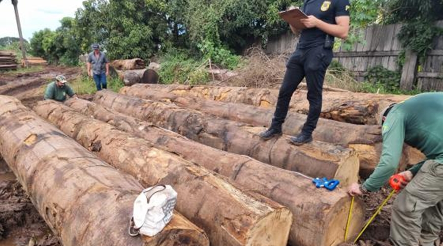 Madeireiro é preso pela PF por crimes ambientais em terra indígena 1