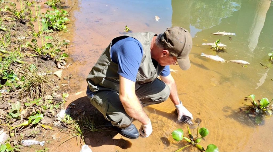 Usina Hidrelétrica de Manso é multada pela Sema em R$ 5 milhões por morte de peixes 1