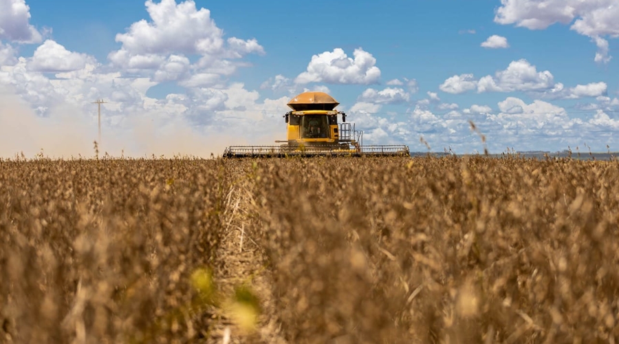 Preços da soja despencam no Brasil, mas produtores vendem por necessidade 1