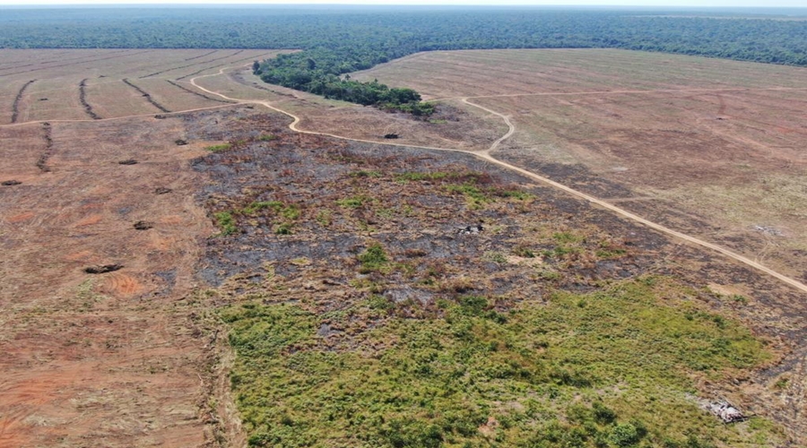 Operação ambiental multa fazenda em R$ 2 milhões por reincidência no desmate ilegal e uso do fogo 1