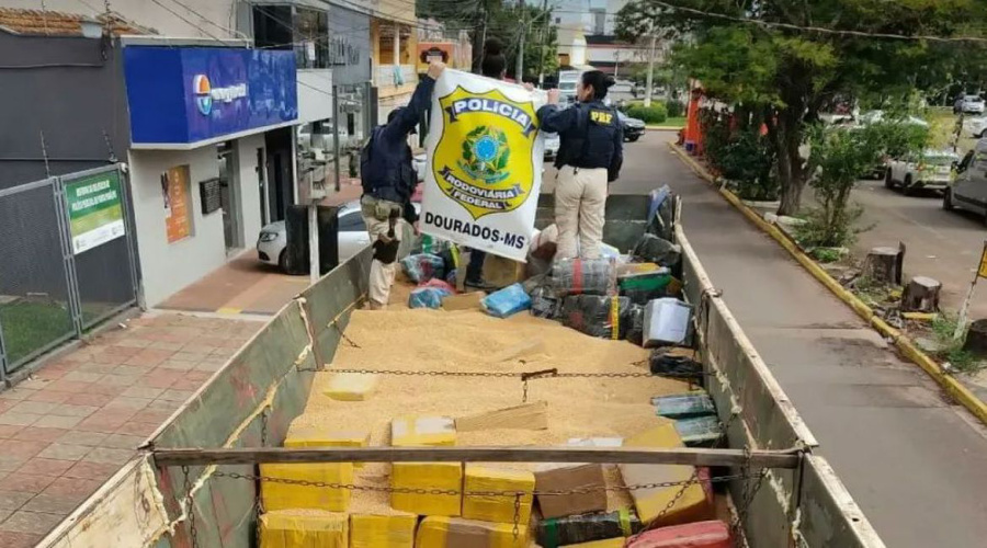 PRF faz a maior apreensão de maconha do ano em Ponta Porã 1