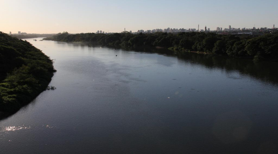 Pesca do pintado não está proibida em Mato Grosso, afirma Conselho 1