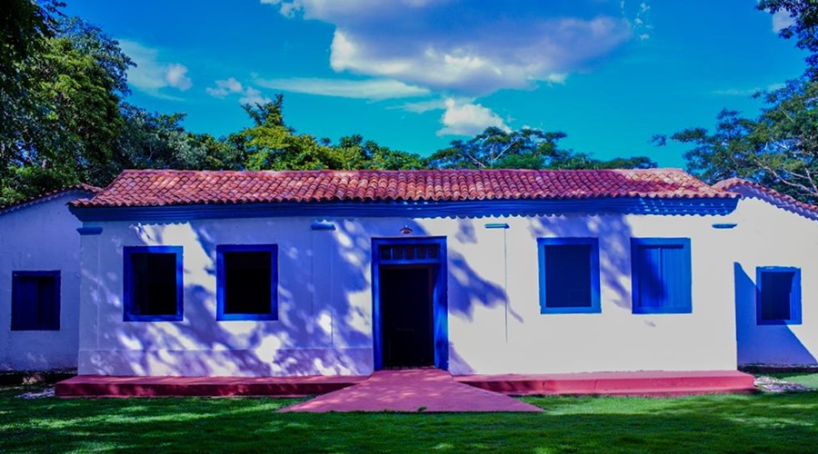 Museu de História Natural oferece experiências sustentáveis 1