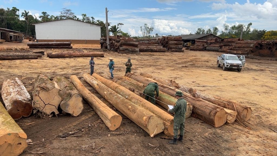 Batalhão Ambiental aplica multa de R$ 3,6 mil por desmate ilegal em MT 1