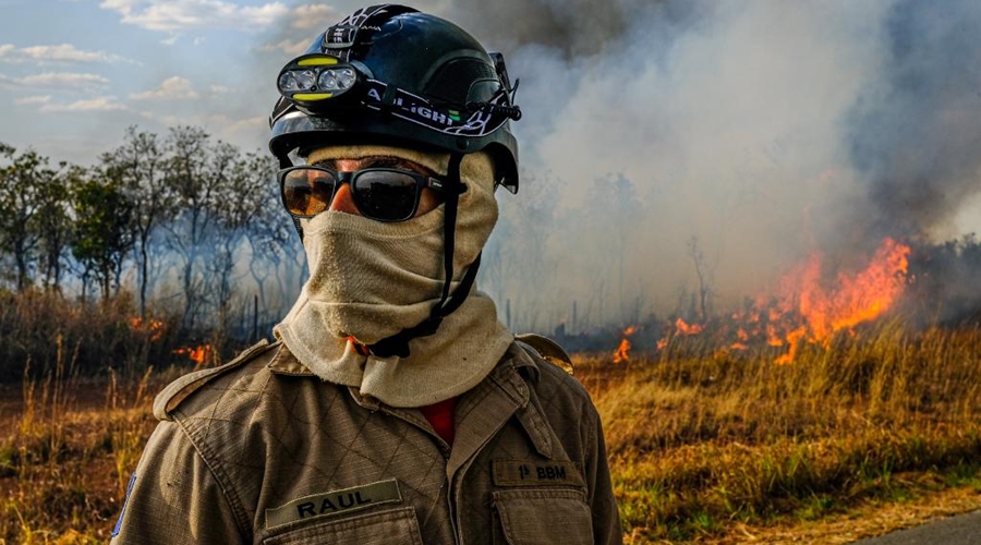 Comitê é instituído para combater incêndios florestais em Mato Grosso 1