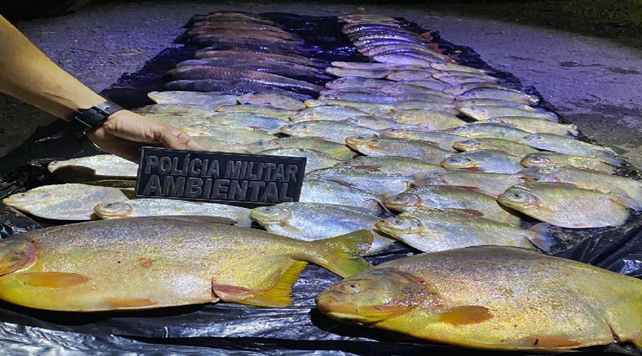 PM Ambiental apreende 45 Kg de pescado irregular durante fiscalização 1