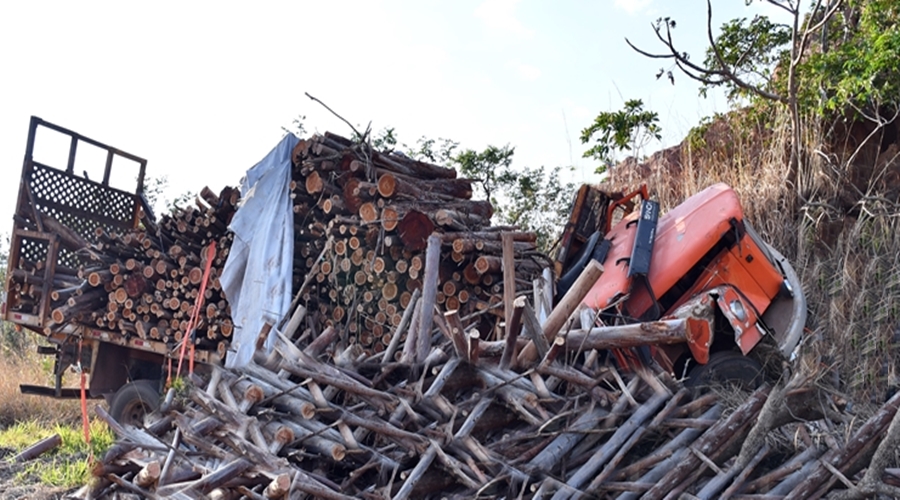 Carga de madeira esmaga cabine de caminhão na Serra da Petrovina e motorista é resgatado com vida pelo Corpo de Bombeiros 1