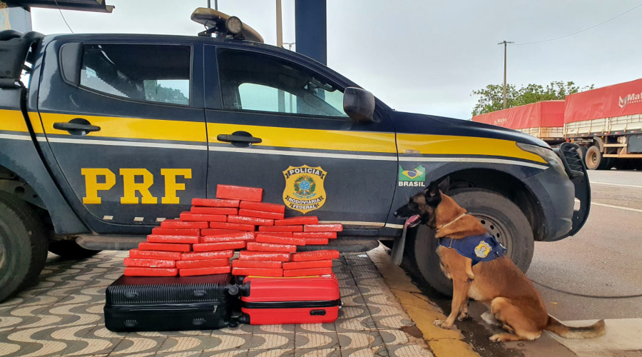 Passageira embarca no PR com malas cheias de drogas com destino ao Acre e é presa em Rondonópolis 1