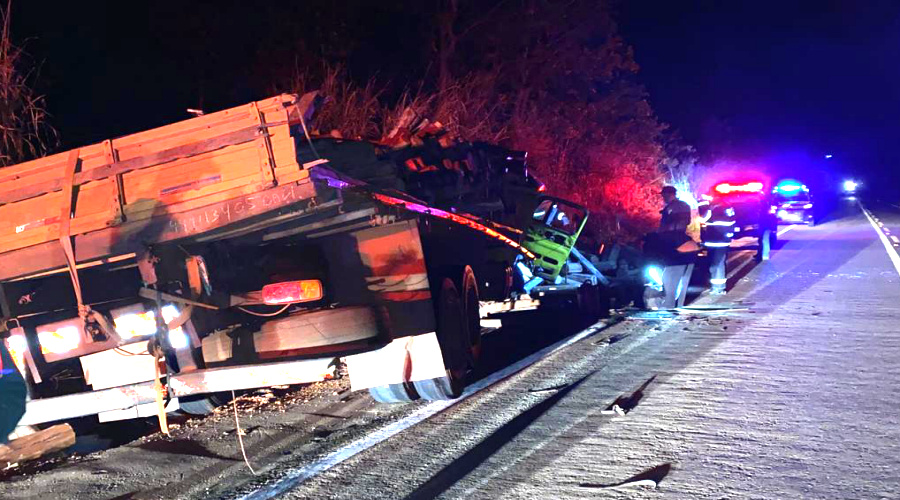 Caminhão carregado com toras de eucalipto bate em barranco na MT 270 e motorista morre prensado 1