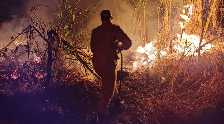 Ações da 9ªCIBM ajudam a reduzir focos de incêndio no Vale do São Lourenço 1