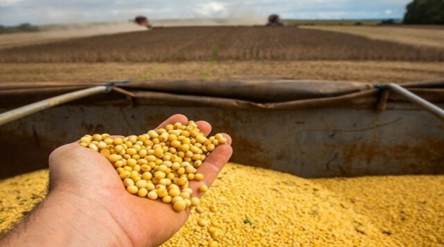 Soja: Mato Grosso alcança quase 85% da área e caminha para a reta final do plantio 1