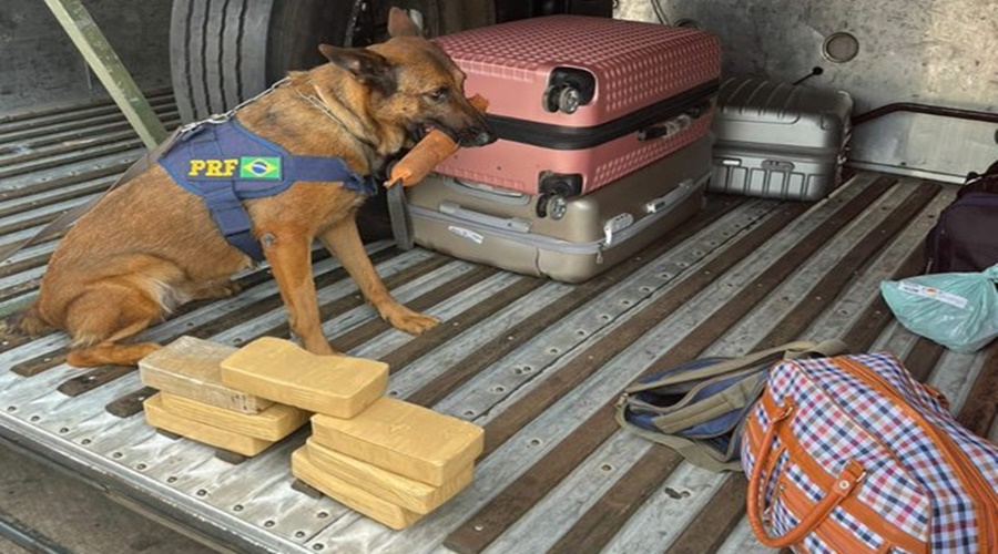 Durante fiscalização de rotina em ônibus PRF apreende pasta base de cocaína 1