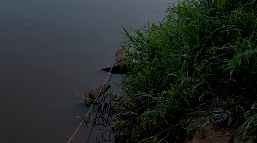 Corpo com pés e mãos amarrados é encontrado boiando no Rio Vermelho as margens da Rodovia do Peixe 1