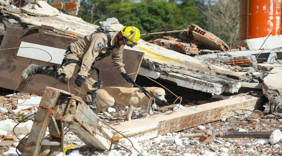 "Treinamento de cães e guias para operações de busca aumenta eficiência do Corpo de Bombeiros", afirma capitão 1