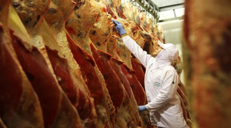 Exportação de carne bovina cresce 26% em 2022, diz Abrafrigo 1