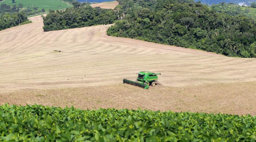 Valor da Produção Agropecuária previsto para 2023 tem o melhor resultado em 34 anos 1