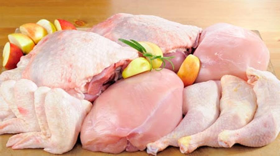 Brasil deve produzir 14,8 milhões de toneladas de carne de frango em 2023 1