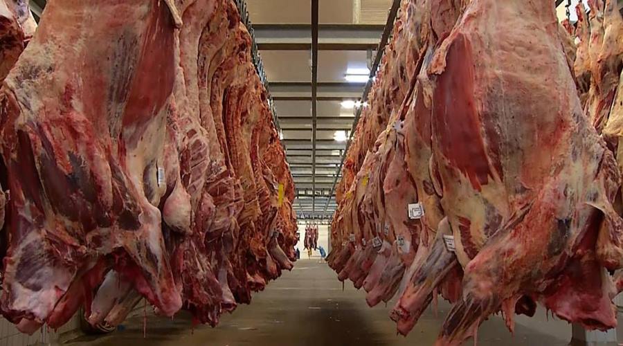 Rara em humanos, doença da vaca louca é transmitida por carne contaminada 1