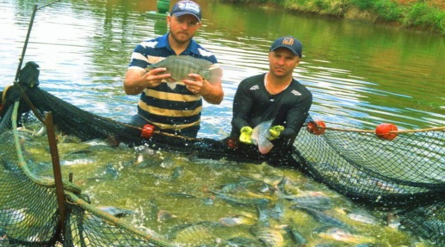 Piscicultor aumenta produtividade e torna pescados mais saudáveis após adoção da biotecnologia 1