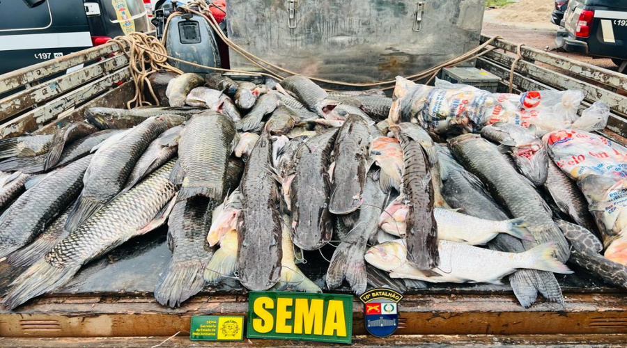 Sema-MT e Polícia Militar flagram transporte ilegal de 255 kg de pescado 1