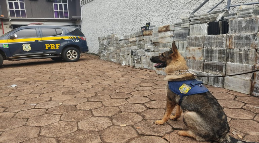 PRF faz a maior apreensão única de cocaína da sua história: 1.860 Kg 1