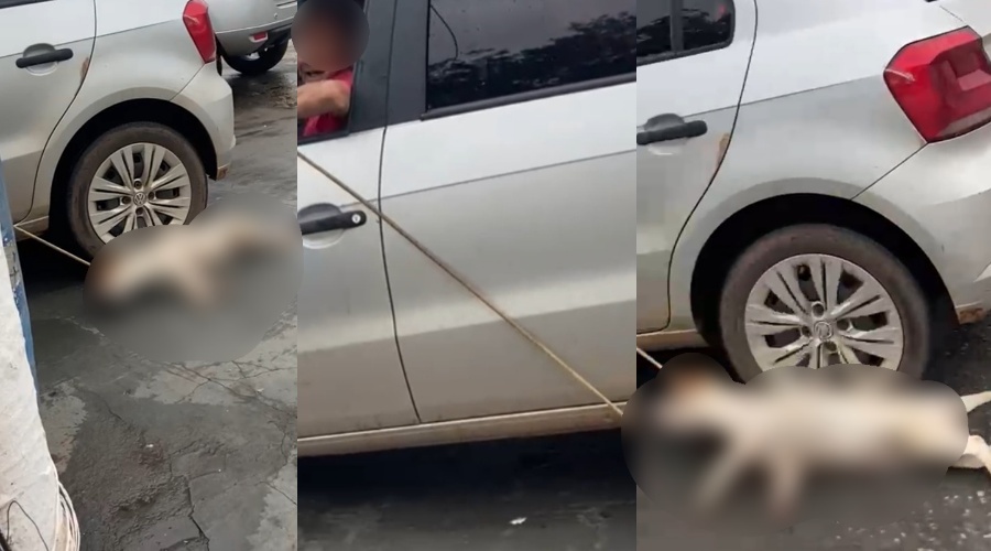 Idoso é preso pela PM ao ser flagrado arrastando com carro cachorra pelas ruas de Jaciara 1