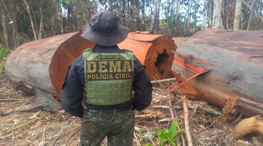 Polícia Civil de MT reforça combate a ilícitos ambientais 1