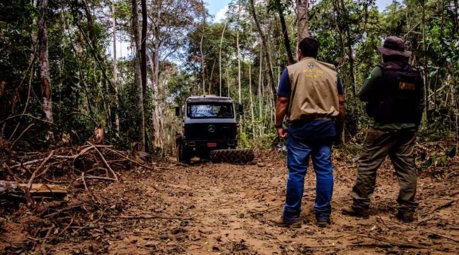 Mato Grosso é o estado que mais age no combate ao desmatamento, aponta MapBiomas 1