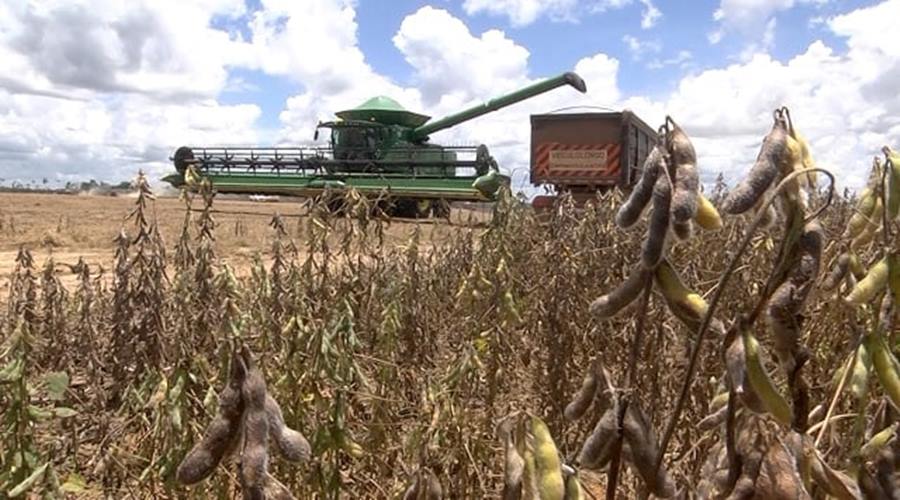 Colheita da soja em Mato Grosso alcança 94,83% e entra na reta final 1