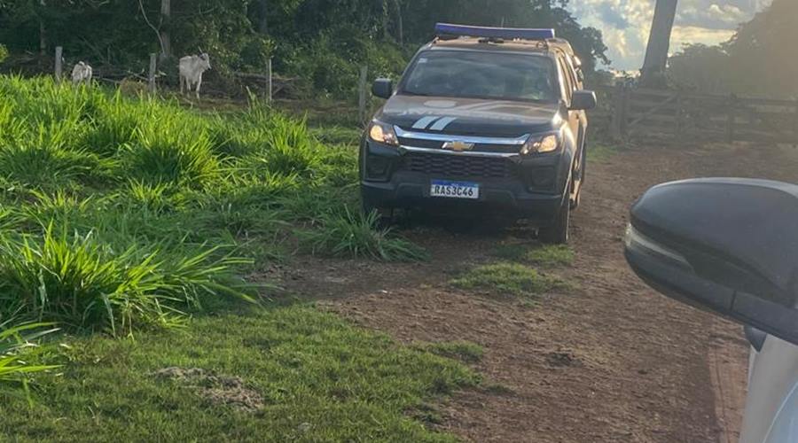 Polícia Civil cumpre buscas para identificar responsável pela decapitação de filhotes de onça pintada 1