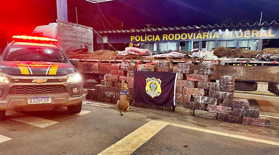 Durante fiscalização de rotina PRF apreende mais de 1 tonelada de maconha na BR 163 1