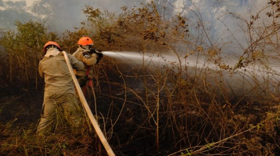 Período proibitivo de queimadas em Mato Grosso será de 1º de julho e 31 de outubro 1