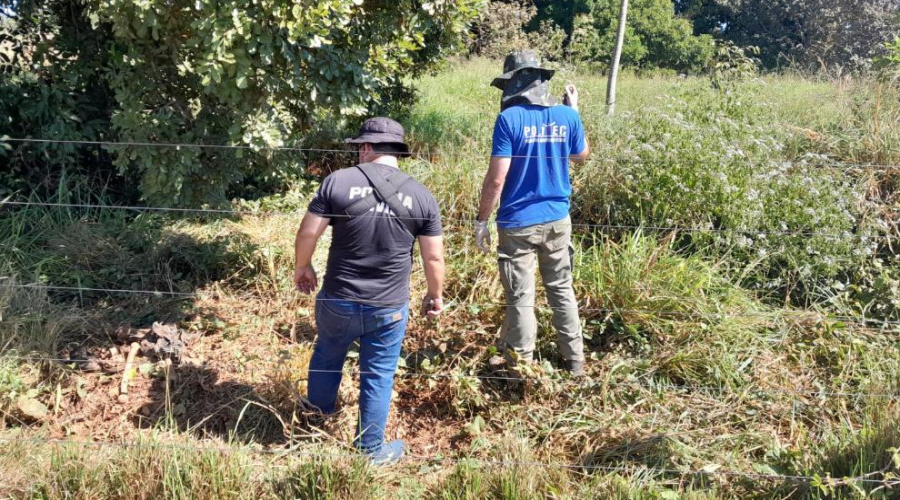 Adolescente é apreendido em flagrante por envolvimento em homicídio e ocultação de cadáver 1