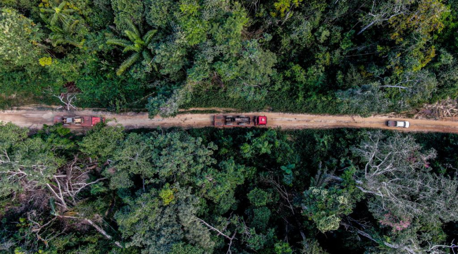 Governo de MT investe em tecnologia, contratações e aeronaves para enfrentar incêndios e desmatamento 1