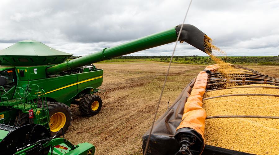 Mato Grosso é responsável por um terço da produção da safra de grãos brasileira 1