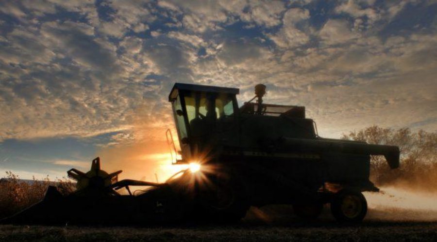 Máquinas agrícolas: setor sofre com taxa de juros e incertezas econômicas 1