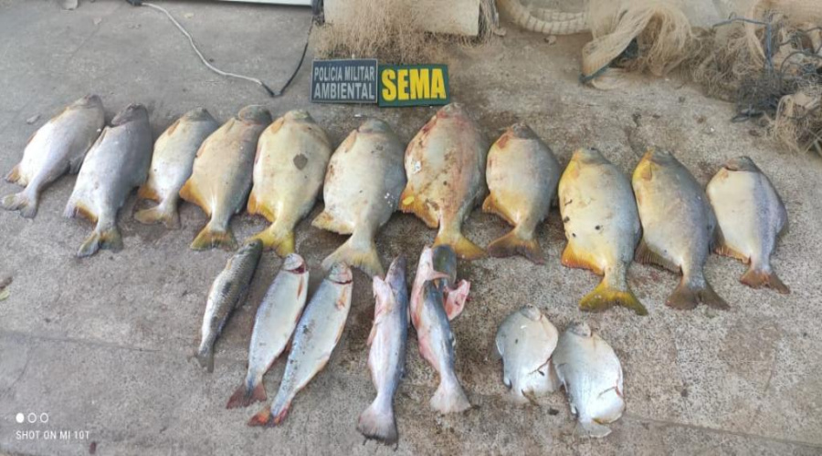 Fiscalização da Sema resulta na apreensão de 20 kg de pescado ilegal 1