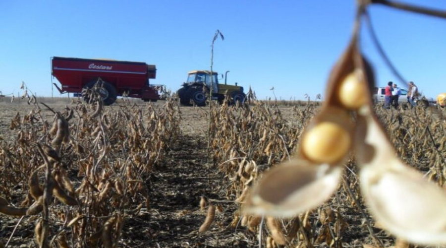 Agricultores enfrentam perspectivas de desvalorização da soja com atualização do relatório de oferta e demanda mundial 1