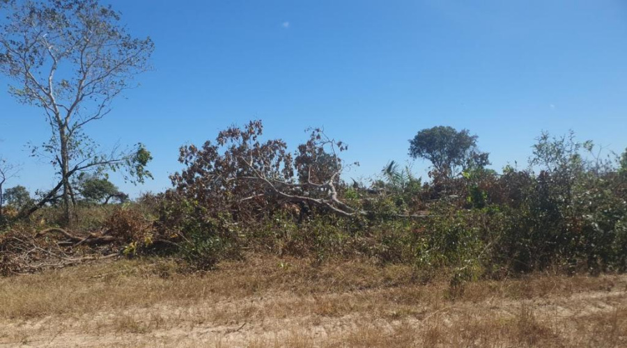 Sema embarga área de 970 hectares e multa proprietário em R$ 970 mil por desmatamento ilegal 1