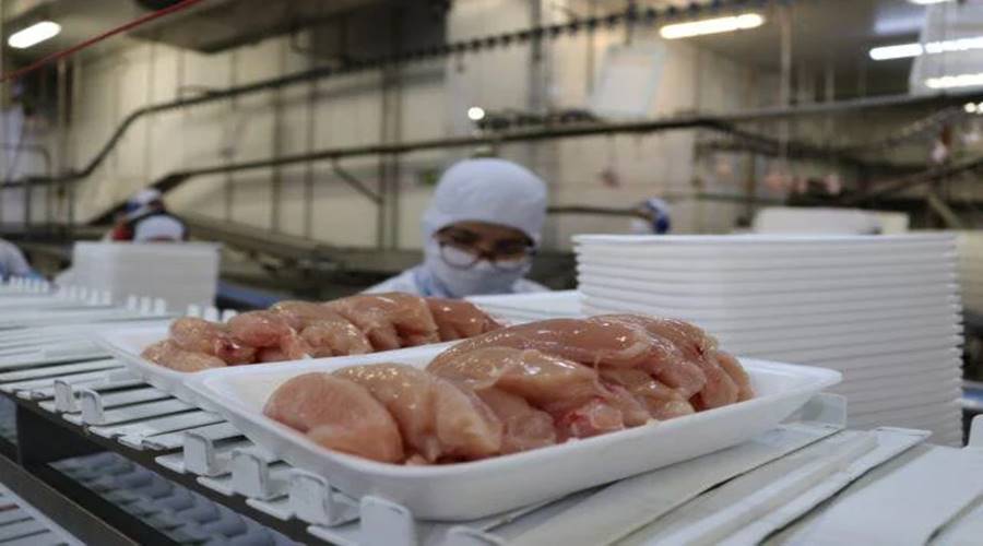 Embarques de carne de frango crescem 6,6% em julho 1