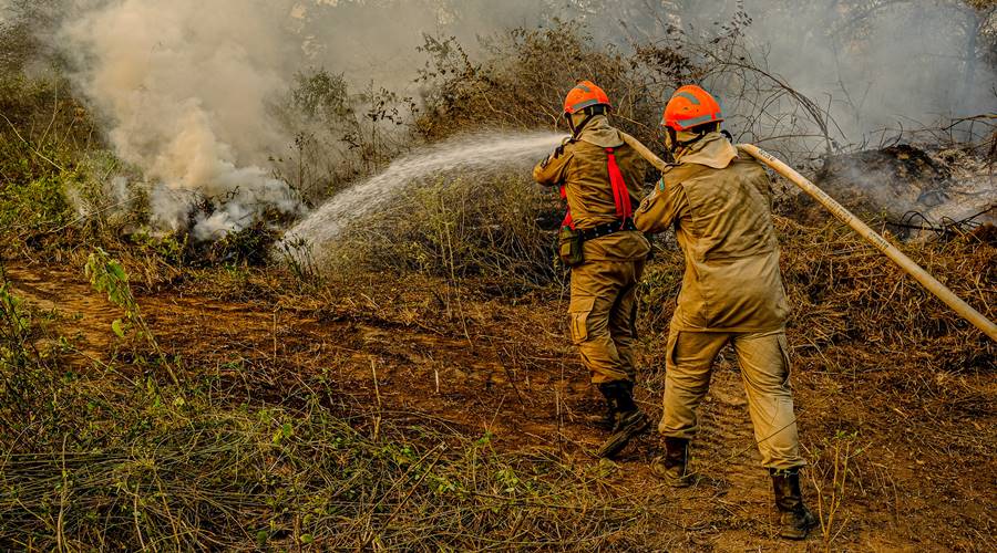 MT quadruplicou investimentos em ações de prevenção e combate a incêndios desde 2020 1