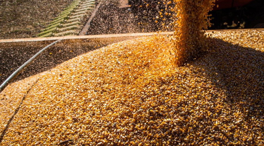 A superprodução agrícola no Brasil e a crise dos silos de armazenamento 1